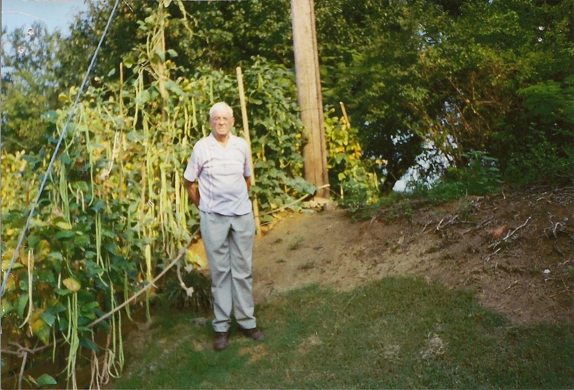 Taz and his yard-long beans, back of the library (1)