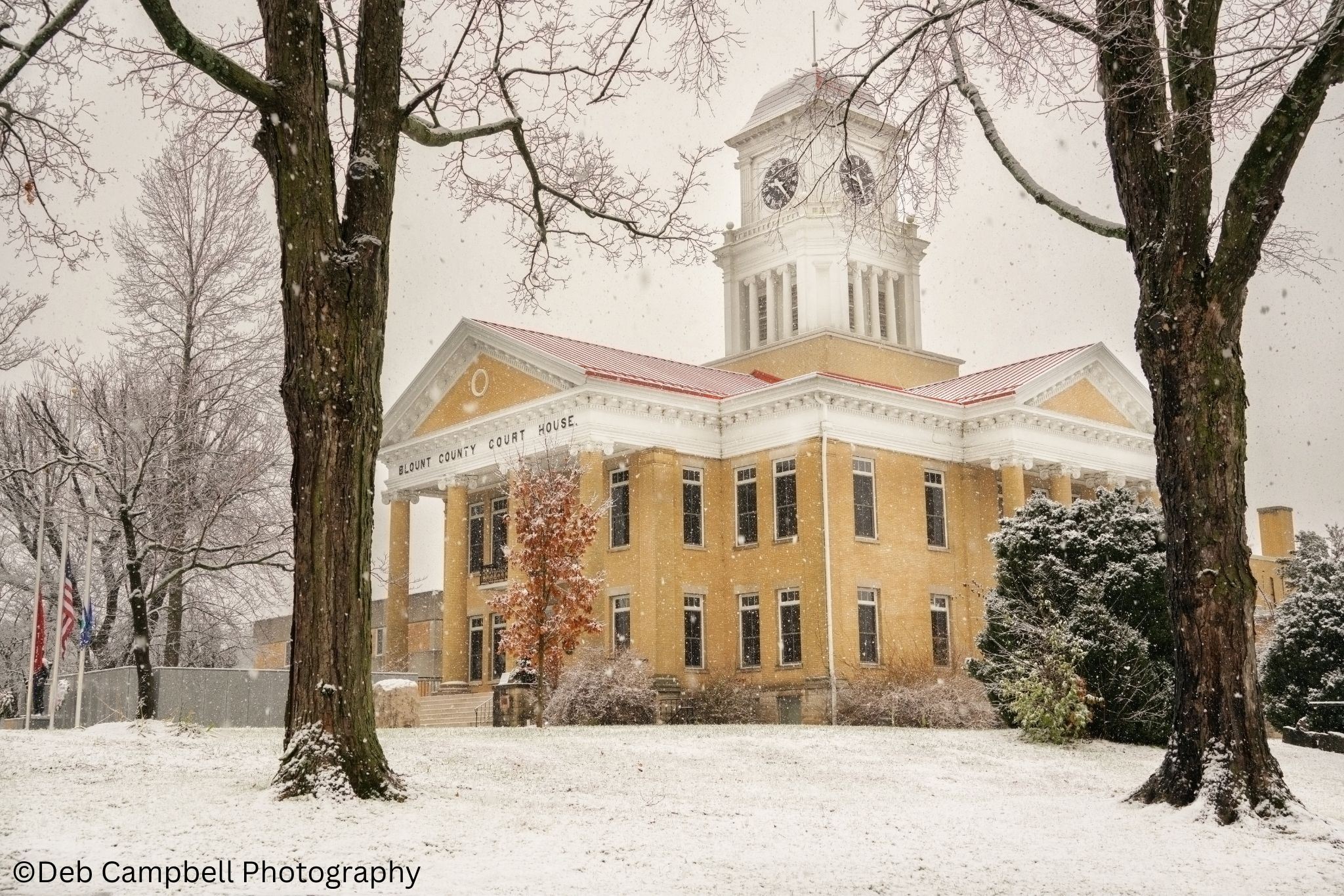 Photograph of the Blount County Courthouse in the Winter taken by Deb Campbell