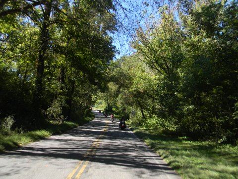 Picture of scenic treed drivewith motorcycles