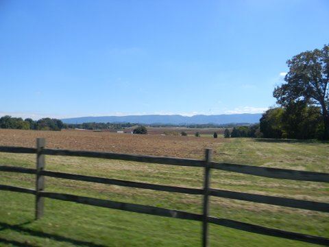Imahe of farmland with fence
