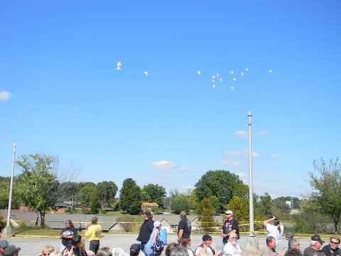 Doves flying above crowd